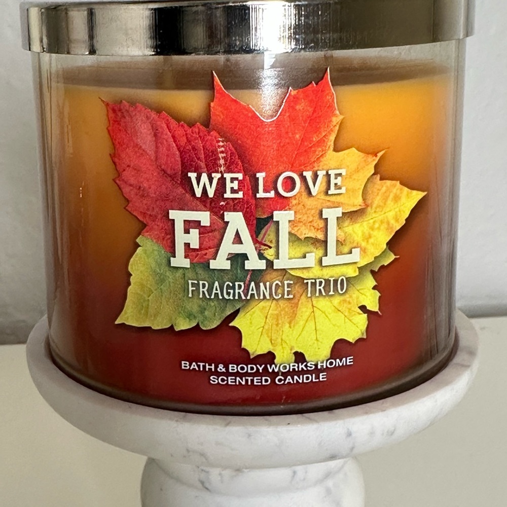 New Bath & Body Works 3 wick - We Love Fall